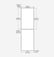Identco Label White Paper 4.00x6.00 [1,000/Roll]